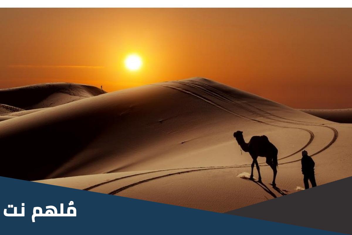 الوقداني وش يرجع ..عائلة الوقداني من وين