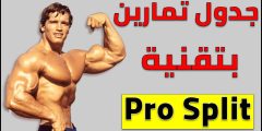 ما هو pro split